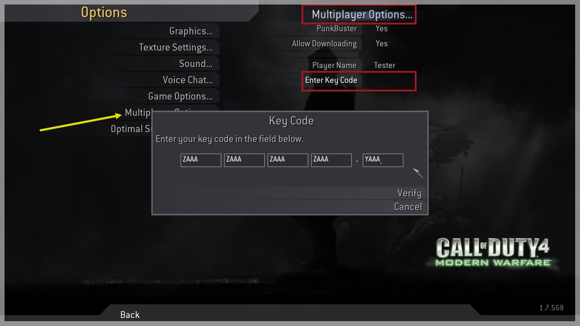 cod 4 multiplayer only download